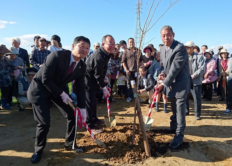 荘川桜2世の植樹の様子