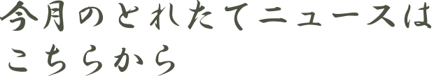 今月のとれたてニュースはこちらから