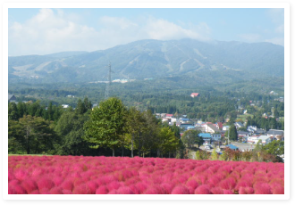 ひるがの高原