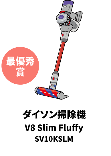 ダイソン掃除機 V8 Slim Fluffy SV10KSLM